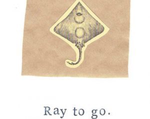 ray to go