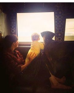 julie-baby-pup-tour-bus-an